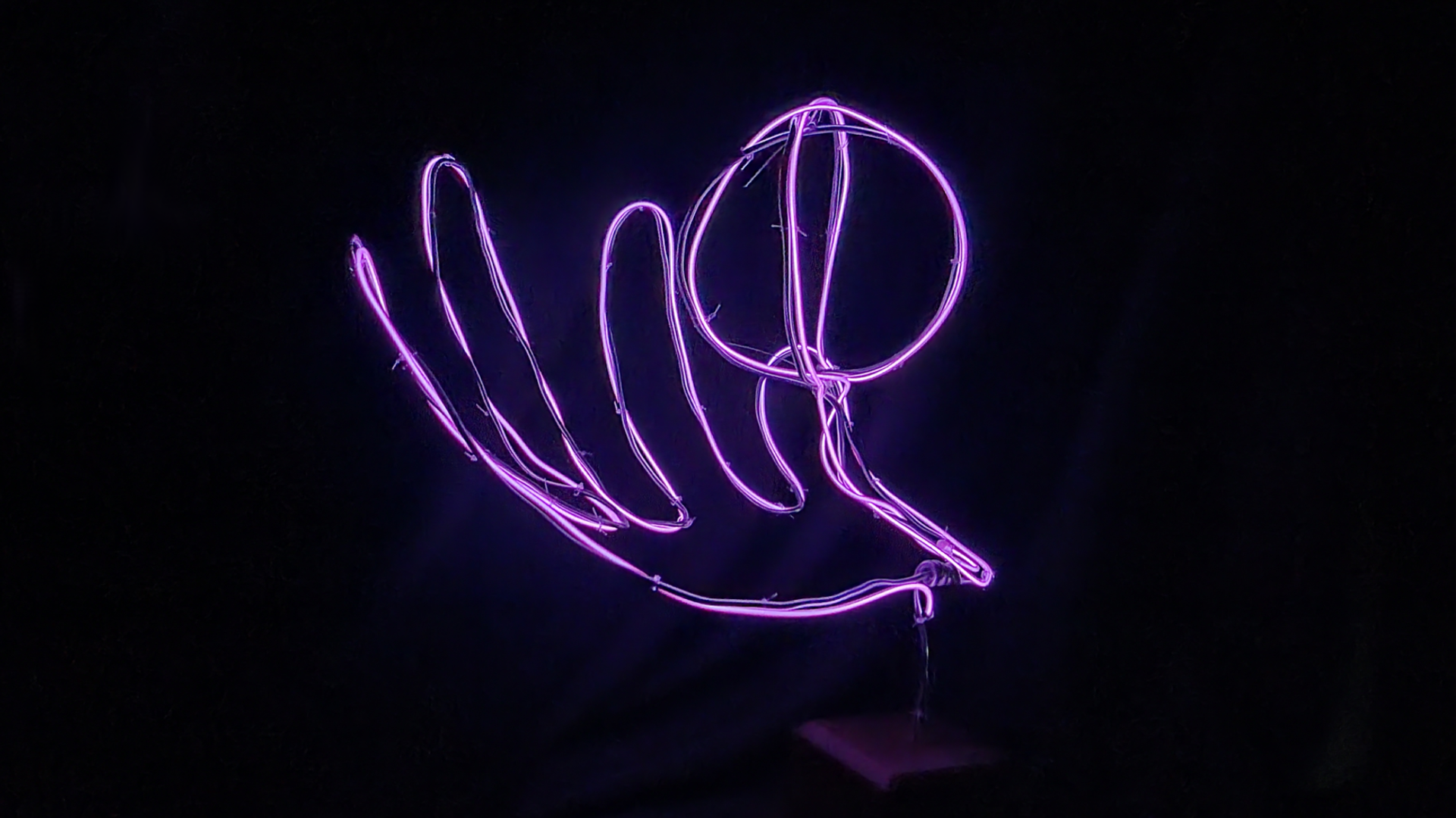 El Wire Neon Signs Canton Museum of Art